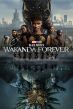 Watch Black Panther: Wakanda Forever 123movieshub