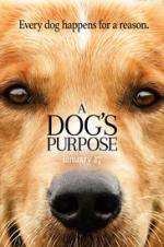 Watch A Dog's Purpose 123movieshub