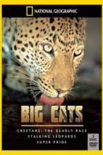 Watch National Geographic: Living With Big Cats 123movieshub