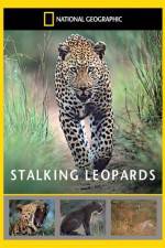 Watch National Geographic: Stalking Leopards 123movieshub