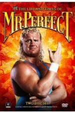 Watch The Life and Times of Mr Perfect 123movieshub