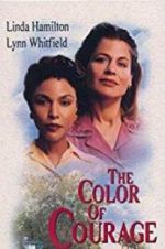 Watch The Color of Courage 123movieshub