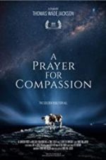 Watch A Prayer for Compassion Online 123movieshub