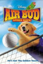 Watch Air Bud Spikes Back 123movieshub