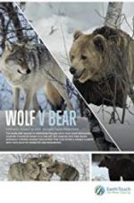 Watch Wolf vs Bear 123movieshub