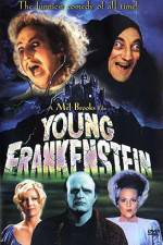 Watch Young Frankenstein 123movieshub