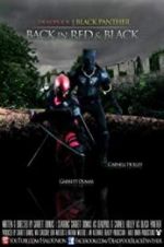 Watch Deadpool and the Black Panther 123movieshub