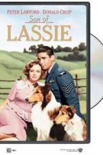 Watch Son of Lassie 123movieshub