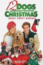 Watch 12 Dogs of Christmas Great Puppy Rescue 123movieshub