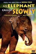 Watch An Elephant Called Slowly 123movieshub