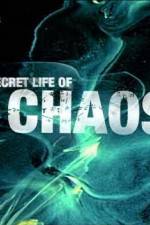 Watch The Secret Life of Chaos 123movieshub