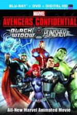 Watch Avengers Confidential: Black Widow & Punisher 123movieshub