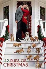 Watch 12 Pups of Christmas 123movieshub