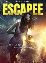 Watch The Escapee Online 123movieshub