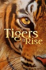 Tigers on the Rise 123movieshub