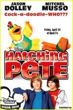 Watch Hatching Pete 123movieshub