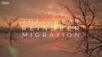 Watch All Aboard! The Great Reindeer Migration Online 123movieshub