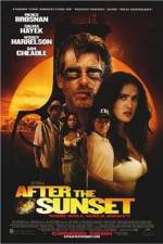 Watch After the Sunset 123movieshub