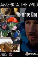 Watch National Geographic Wild America the Wild Wolverine King 123movieshub