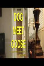 Watch Dog Meet Goose 123movieshub