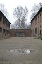 Watch Made in Auschwitz: The Untold Story of Block 10 123movieshub