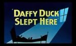 Watch Daffy Duck Slept Here (Short 1948) 123movieshub
