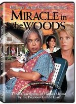 Watch Miracle in the Woods 123movieshub