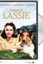 Watch Courage of Lassie 123movieshub