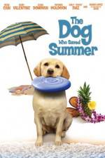 Watch The Dog Who Saved Summer 123movieshub