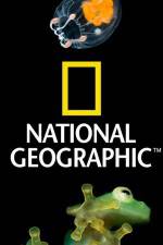 Watch National Geographic Wild Dam Beavers 123movieshub