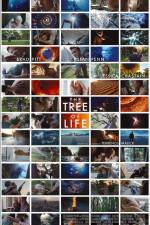 Watch The Tree of Life 123movieshub
