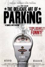 Watch The Delicate Art of Parking 123movieshub