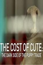 Watch The Cost of Cute: The Dark Side of the Puppy Trade 123movieshub