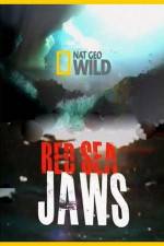 Watch National Geographic Red Sea Jaws 123movieshub