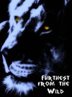 Watch Furthest from the Wild Online 123movieshub