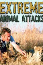 Watch Extreme Animal Attacks 123movieshub