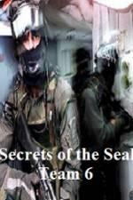 Watch Discovery Channel Secrets of Seal Team 6 123movieshub