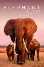 Watch The Elephant Queen 123movieshub