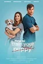 Watch How to Train Your Husband or (How to Pick Your Second Husband First) 123movieshub