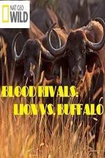 Watch National Geographic - Blood Rivals: Lion vs. Buffalo 123movieshub