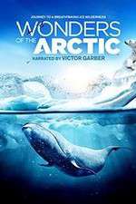 Watch Wonders of the Arctic 3D 123movieshub