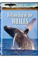 Watch Fellowship Of The Whales 123movieshub