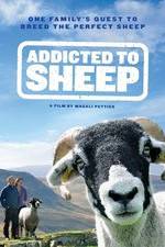 Watch Addicted to Sheep 123movieshub
