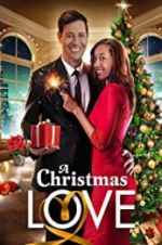 Watch A Christmas Love 123movieshub