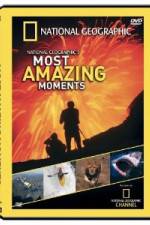 Watch National Geographic's Most Amazing Moments 123movieshub