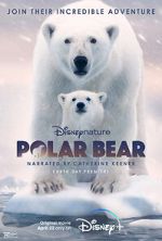 Watch Polar Bear 123movieshub