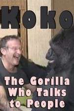Watch Koko: The Gorilla Who Talks to People 123movieshub