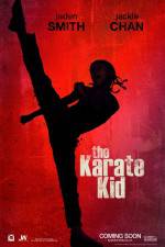 Watch The Karate Kid 123movieshub