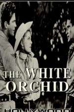 Watch The White Orchid 123movieshub