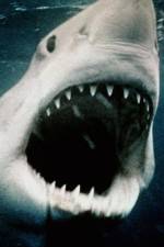 Watch Sharkmania: The Top 15 Biggest Baddest Bloodiest Bites 123movieshub